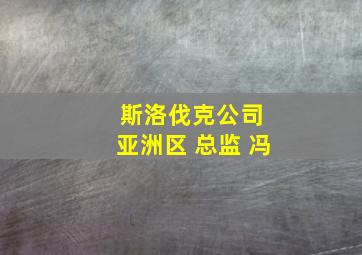 斯洛伐克公司 亚洲区 总监 冯